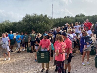 POSTIRA: Hrvati po drugi put prvaci svijeta u branju maslina