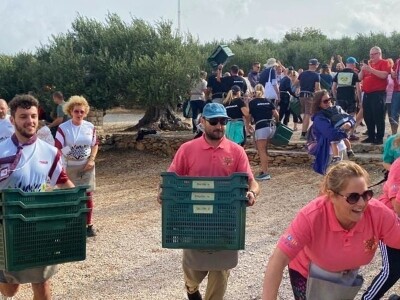 POSTIRA: Hrvati po drugi put prvaci svijeta u branju maslina