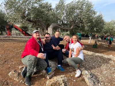 POSTIRA: Hrvati po drugi put prvaci svijeta u branju maslina