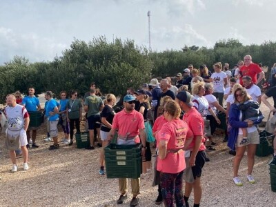 POSTIRA: Hrvati po drugi put prvaci svijeta u branju maslina