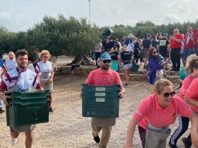 POSTIRA: Hrvati po drugi put prvaci svijeta u branju maslina