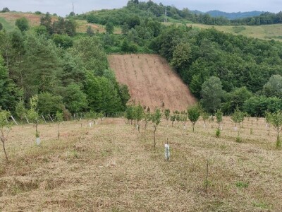 Postoji li u RH ekološka poljoprivreda?
