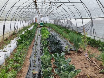 Postoji li u RH ekološka poljoprivreda?