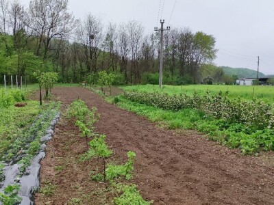 Postoji li u RH ekološka poljoprivreda?