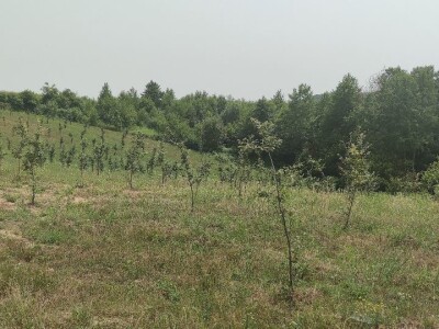 Postoji li u RH ekološka poljoprivreda?