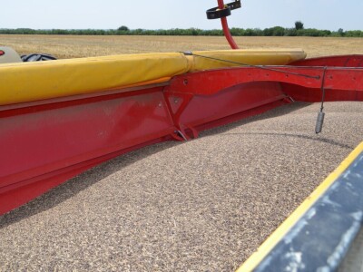 Postrna sjetva za zelenu gnojidbu Postrna sjetva za zelenu gnojidbu