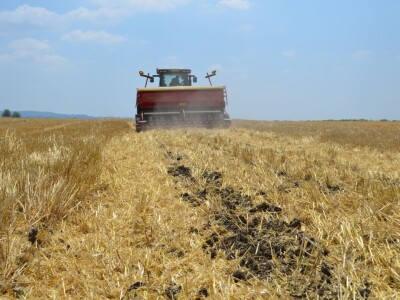 Postrna sjetva za zelenu gnojidbu Postrna sjetva za zelenu gnojidbu