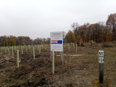 Pošumljavanje Pošumljavanje