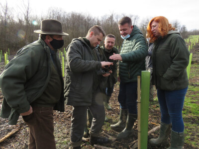 Pošumljavanje Pošumljavanje
