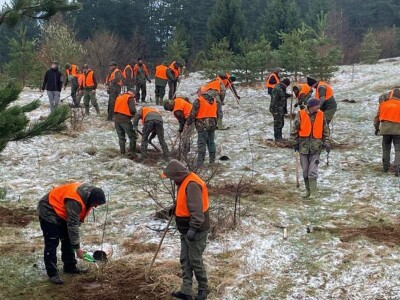 Akcija masovnog pošumljavanja "Zasadi za život" - Trnovo