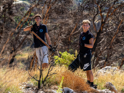 Pošumljavanje Biokova