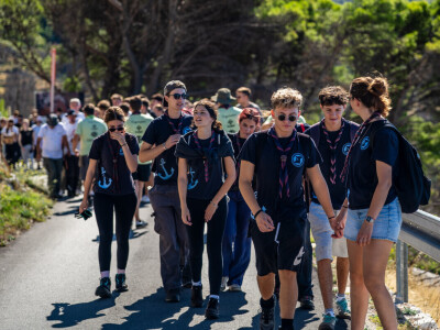 Pošumljavanje Biokova