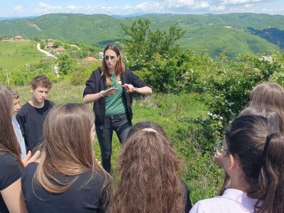 Pošumljavanje dronovima