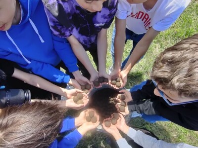 Pošumljavanje dronovima