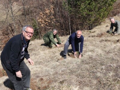 Pošumljavanje i radna akcija
