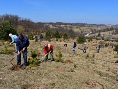 Pošumljavanje i radna akcija