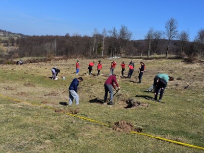 Pošumljavanje i radna akcija