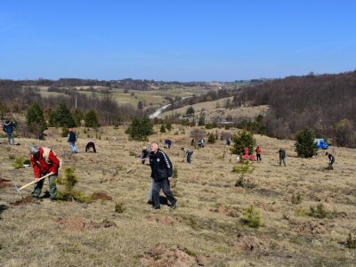 Pošumljavanje i radna akcija