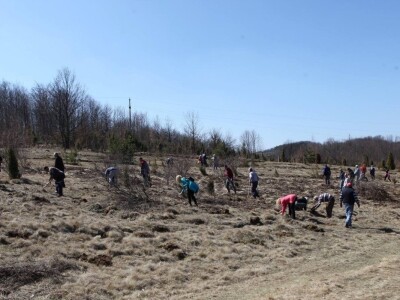 Pošumljavanje i radna akcija