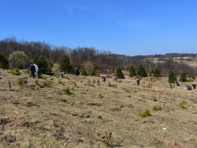 Pošumljavanje i radna akcija