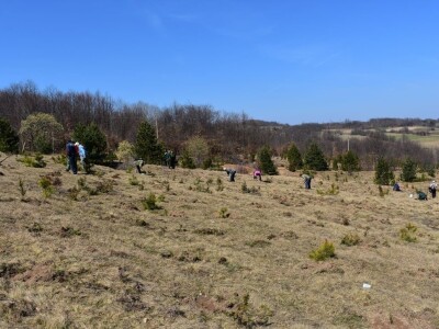 Pošumljavanje i radna akcija