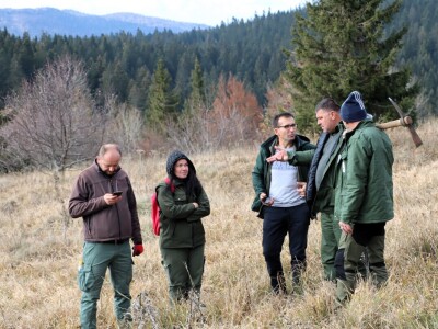 Pošumljavanje na Crnom vrhu