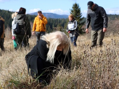 Pošumljavanje na Crnom vrhu