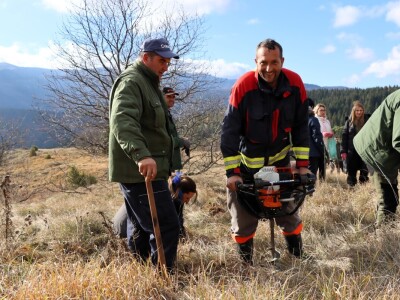 Pošumljavanje na Crnom vrhu