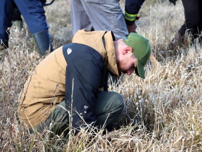 Pošumljavanje na Crnom vrhu