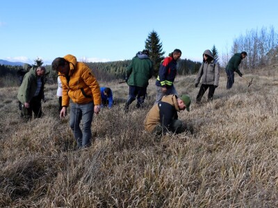 Pošumljavanje na Crnom vrhu
