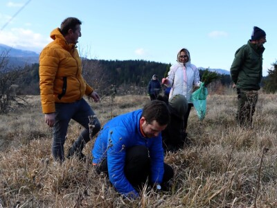 Pošumljavanje na Crnom vrhu