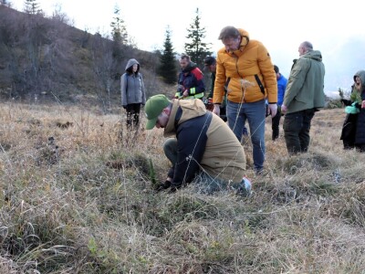 Pošumljavanje na Crnom vrhu