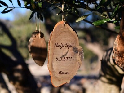 Posvojene stoljetne masline u Marinskoj Zagori unikatni poklon za Novu godinu