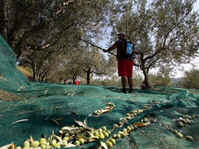POTEKLO PRVO TEKUĆE ZLATO: POTEKLO PRVO TEKUĆE ZLATO: