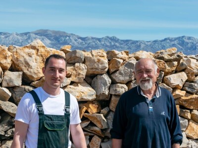 POTHVAT NA PAGU - Podigao skoro dva metra visoki suhozid da zaštiti masline od bure i posolice POTHVAT NA PAGU - Podigao skoro dva metra visoki suhozid da zaštiti masline od bure i posolice