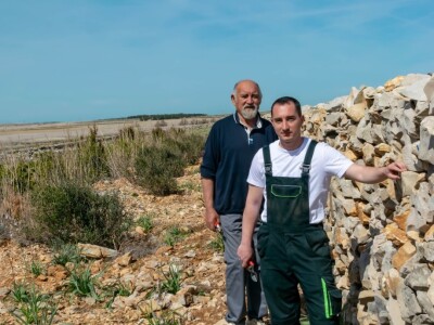 POTHVAT NA PAGU - Podigao skoro dva metra visoki suhozid da zaštiti masline od bure i posolice POTHVAT NA PAGU - Podigao skoro dva metra visoki suhozid da zaštiti masline od bure i posolice