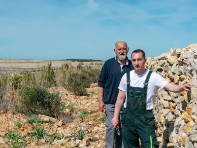 POTHVAT NA PAGU - Podigao skoro dva metra visoki suhozid da zaštiti masline od bure i posolice POTHVAT NA PAGU - Podigao skoro dva metra visoki suhozid da zaštiti masline od bure i posolice
