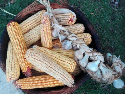 Poticanjem domaće proizvodnje potičemo ruralni razvoj