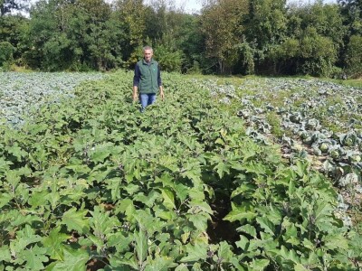 Potomak dostojan naslednik srpskog meleza, foto: M. Lazarević Potomak dostojan naslednik srpskog meleza, foto: M. Lazarević