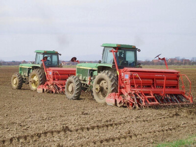 Potraga za plavim dizelom