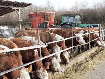 Potres  i na farmama Potres  i na farmama