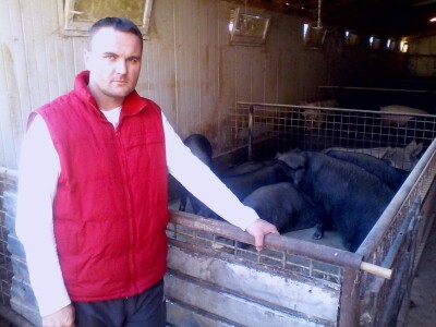 Potres  i na farmama Potres  i na farmama