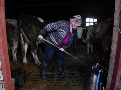 Potres i posljedice na petrinjskom, glinskom i i sisačkom području Potres i posljedice na petrinjskom, glinskom i i sisačkom području