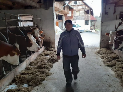 Potresi na Banovini