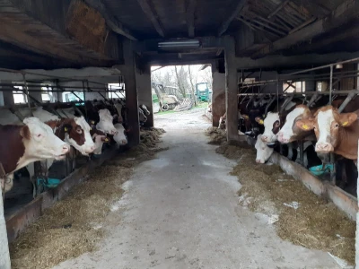 Potresi na Banovini
