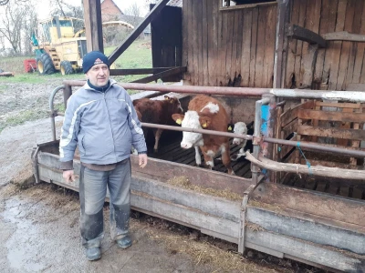Potresi na Banovini