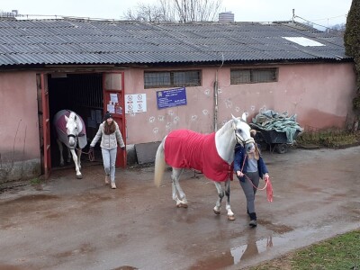 Potresi na zagrebačkom Hipodromu