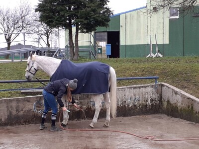 Potresi na zagrebačkom Hipodromu