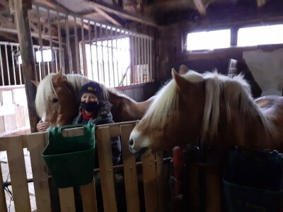 Potresi na zagrebačkom Hipodromu