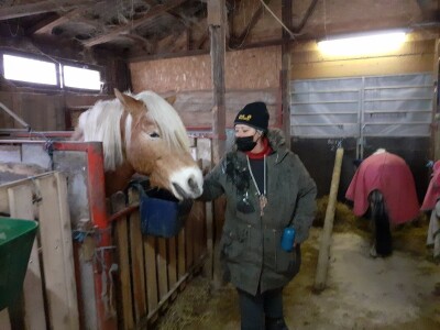 Potresi na zagrebačkom Hipodromu